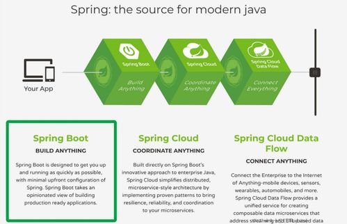 為什么越來越多的開發者選擇使用Spring Boot，兼談快速認識其技術棧與人體干細胞技術的開發和應用
